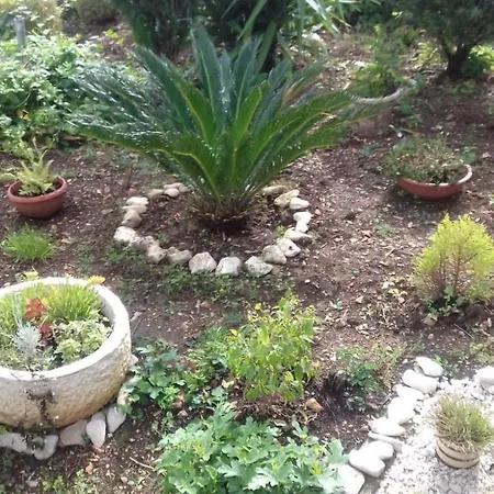 Fjaba - By The Sea - With The Big Terraces & Great Sea View