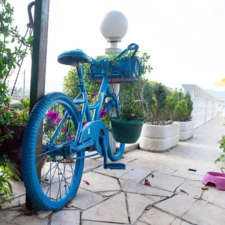 شقة Fjaba - By The Sea - With The Big Terraces & Great Sea View تروغير